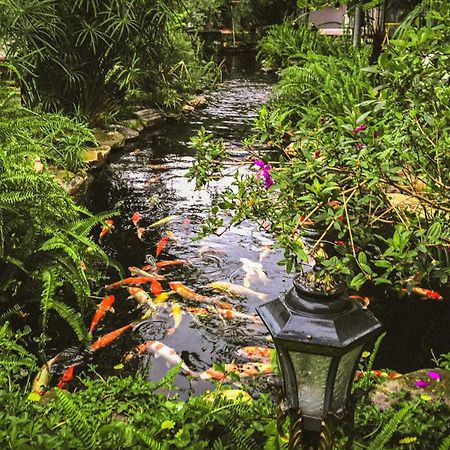 Window Homestay Tỉnh Kontum Eksteriør bilde