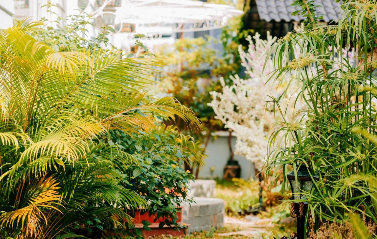 Window Homestay Tỉnh Kontum Eksteriør bilde