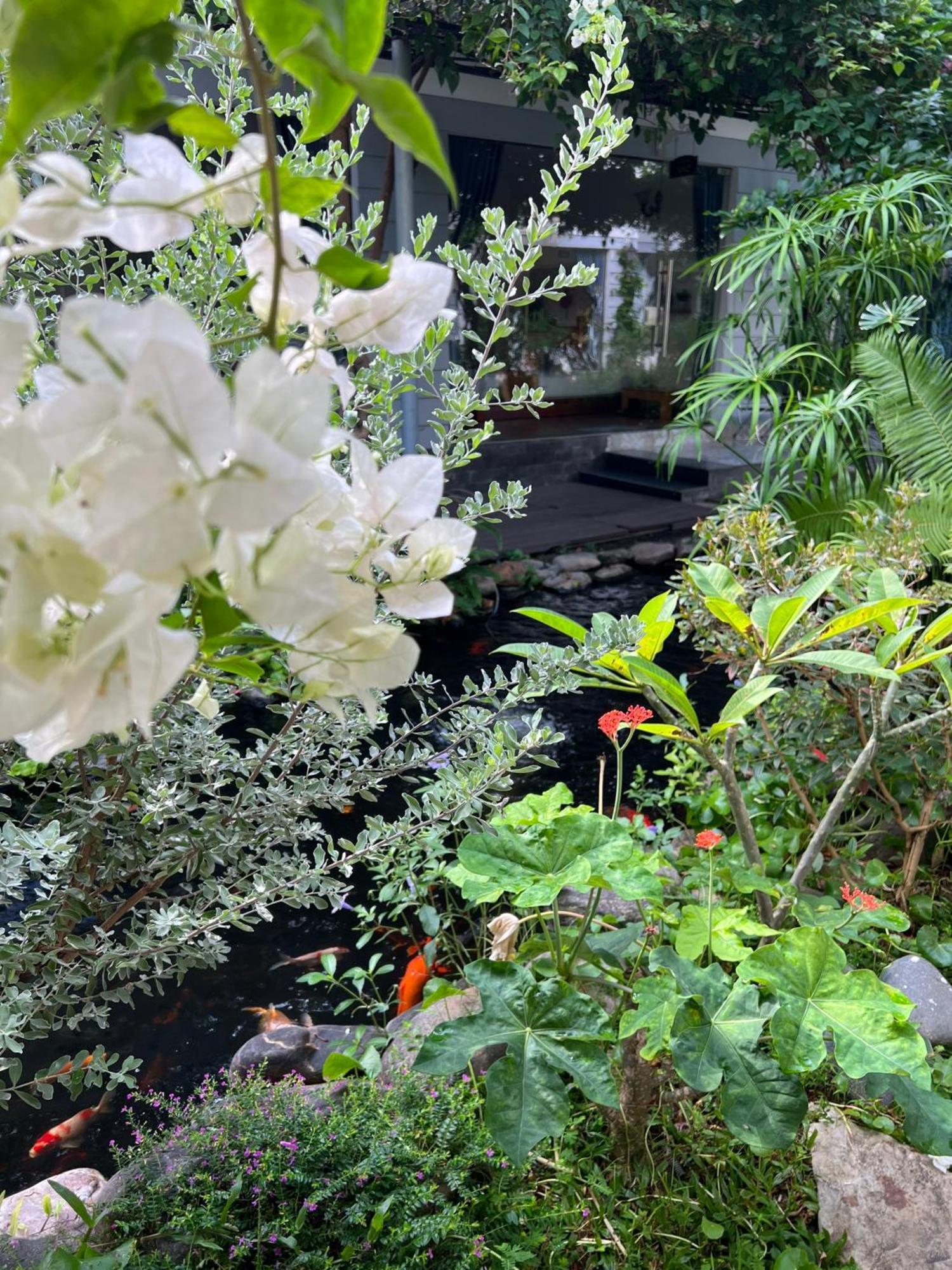 Window Homestay Tỉnh Kontum Eksteriør bilde