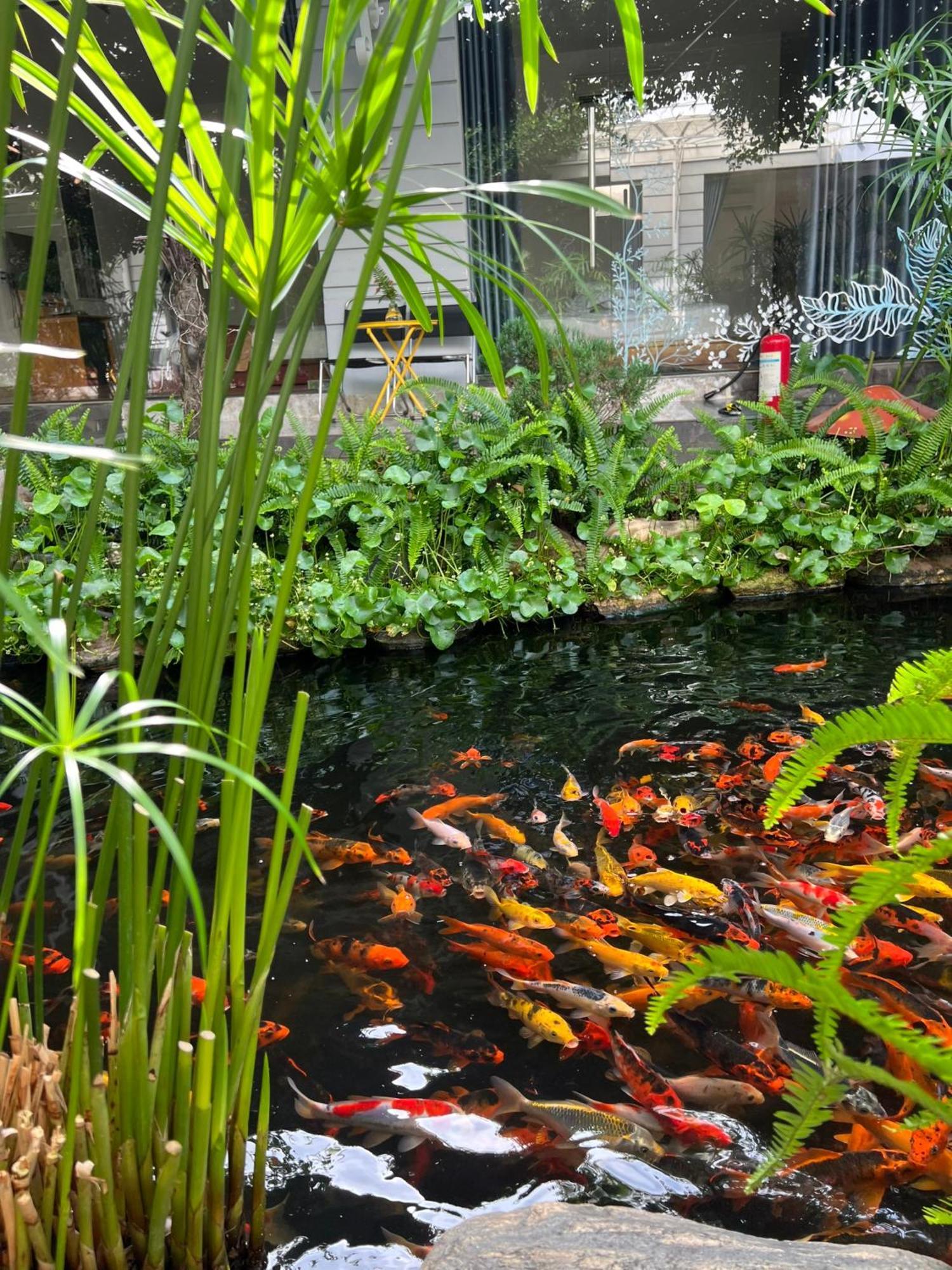 Window Homestay Tỉnh Kontum Eksteriør bilde